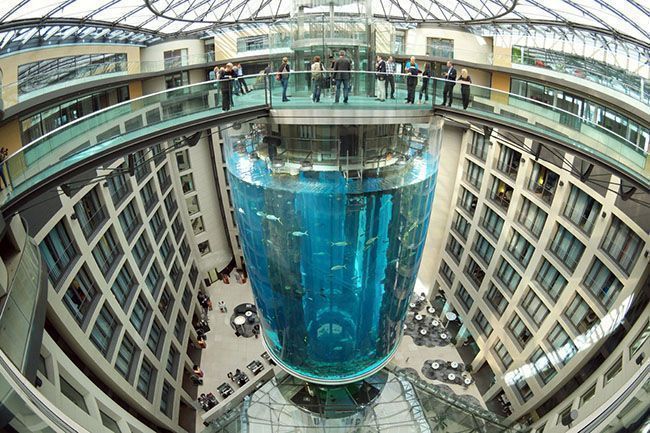 Capa: O maior aquário cilíndrico do mundo