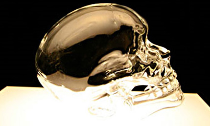 Capa: Esqueletos de vidro feitos pela artista Melli Ink